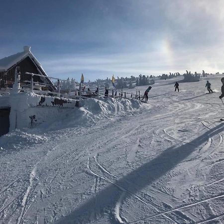 Ostello Schronisko Pttk Hala Szrenicka Szklarska Poręba Esterno foto